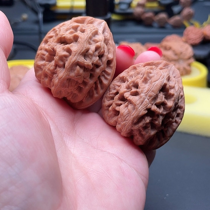 全品无修红锦鲤38+/40/42