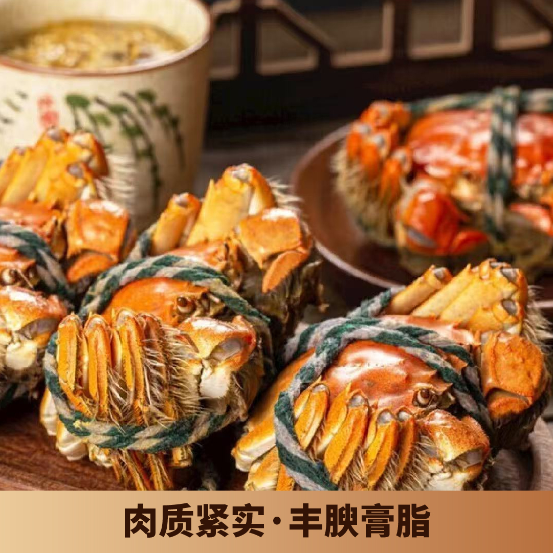 【活蟹】汉川精品大闸蟹母蟹3.5-3.2两8只（送2只路损）到手10只京东