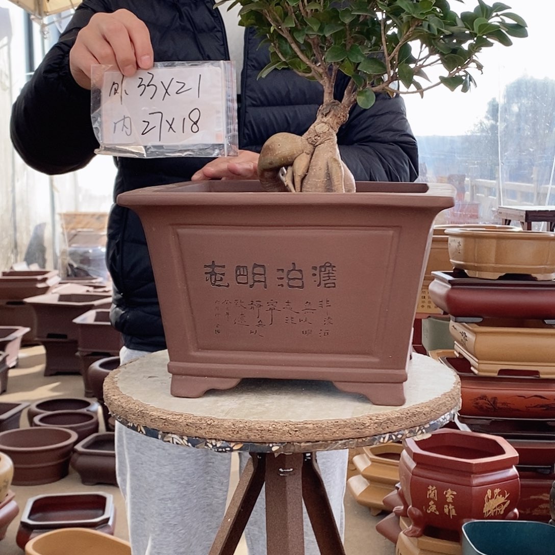 紫砂花盆紫砂花盆