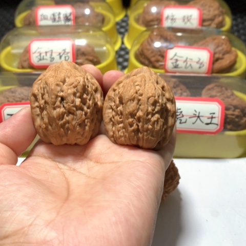 吊坠文玩核桃金钱豹