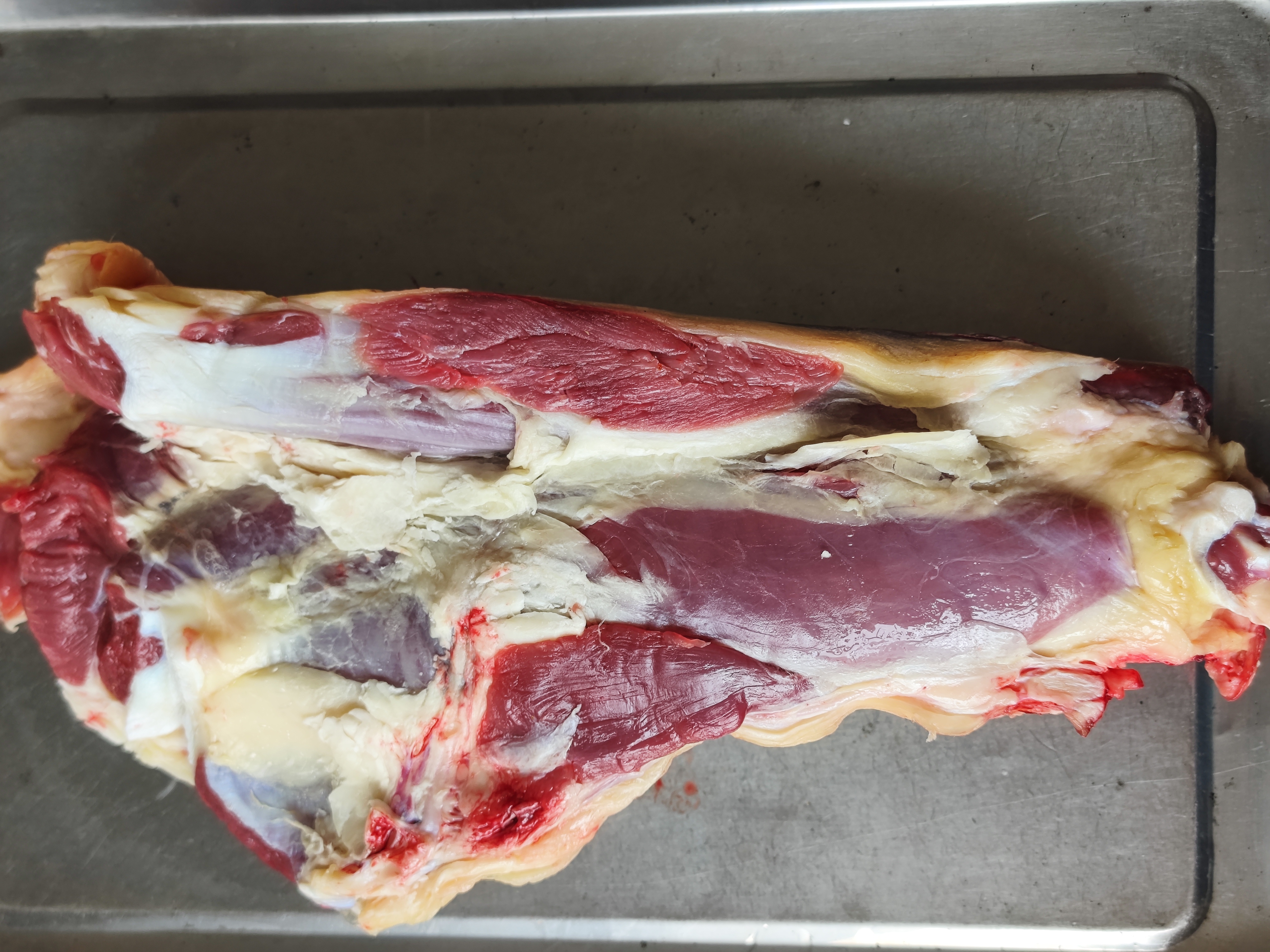 贵州跑山小黄牛牛腱子（清真）本地黄膘牛顺丰冷链牛肉