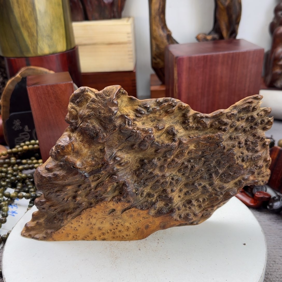 大果紫檀（缅甸花梨）蝎*