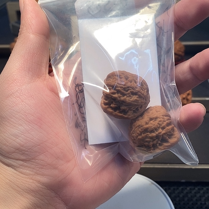 文玩核桃把件喝****白狮子