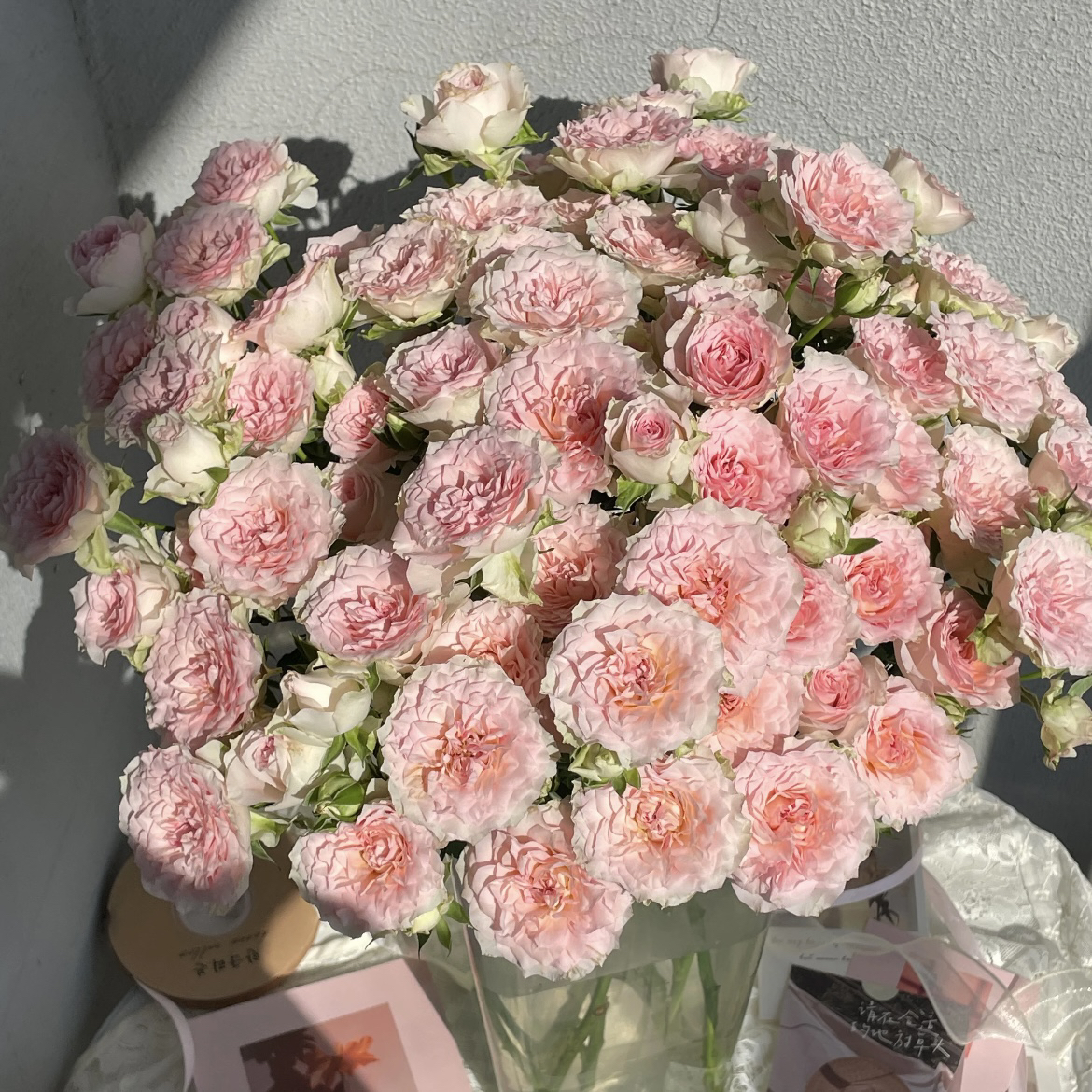 【今喜花舍】（多头）情迷罗拉 0°以下地区记得拍保温棉哦！！！