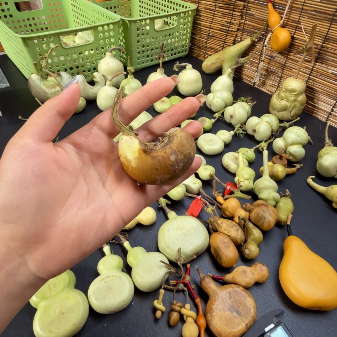 冰***薯不退不换没有运费险