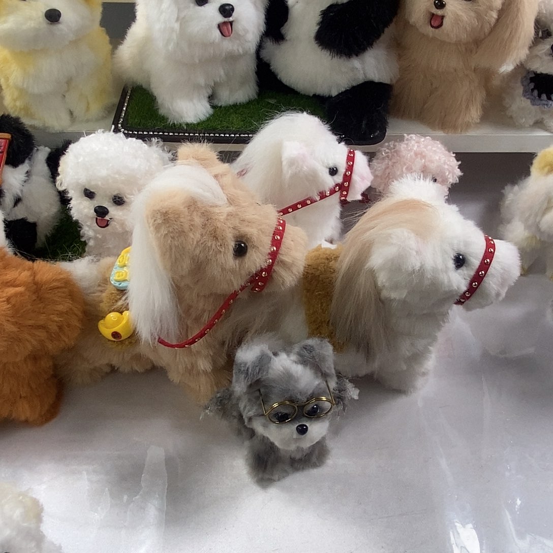 看图发货大马2小马1小雪纳瑞1