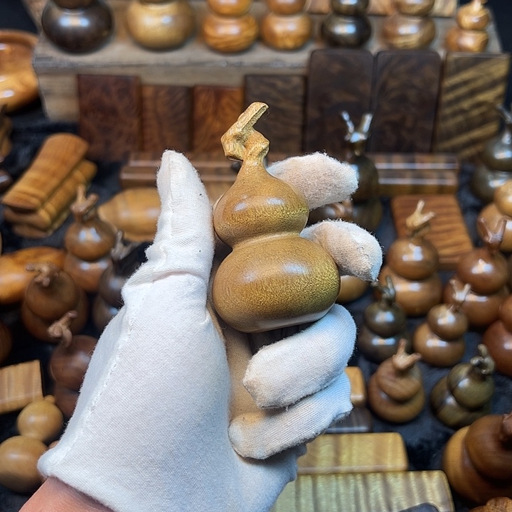 楠木金丝楠木小叶