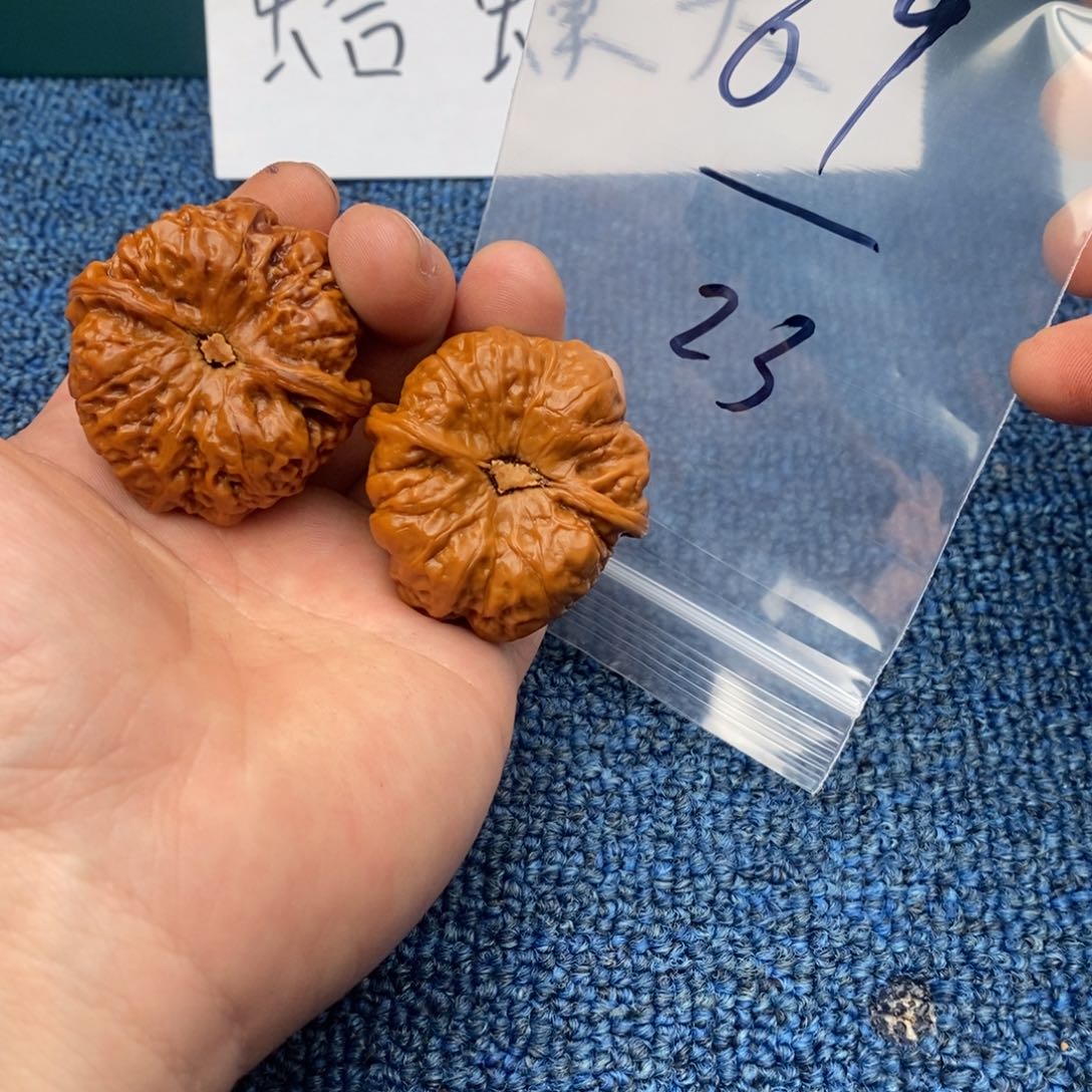 哈哈哈哈哈哈哈哈哈哈哈