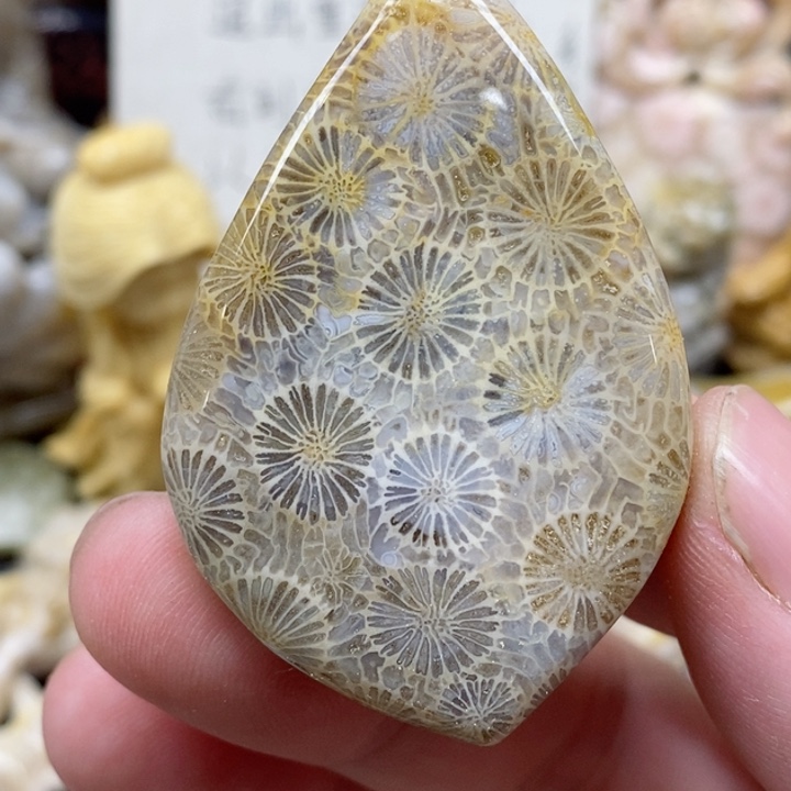 颈饰未镶嵌硅化珊瑚（珊瑚玉）