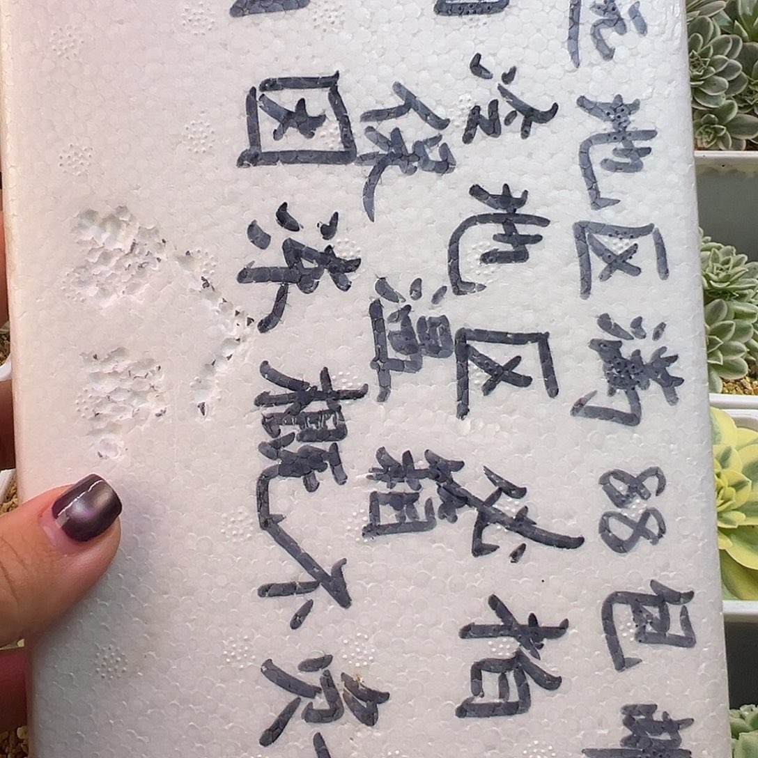 保温箱！零下必拍！