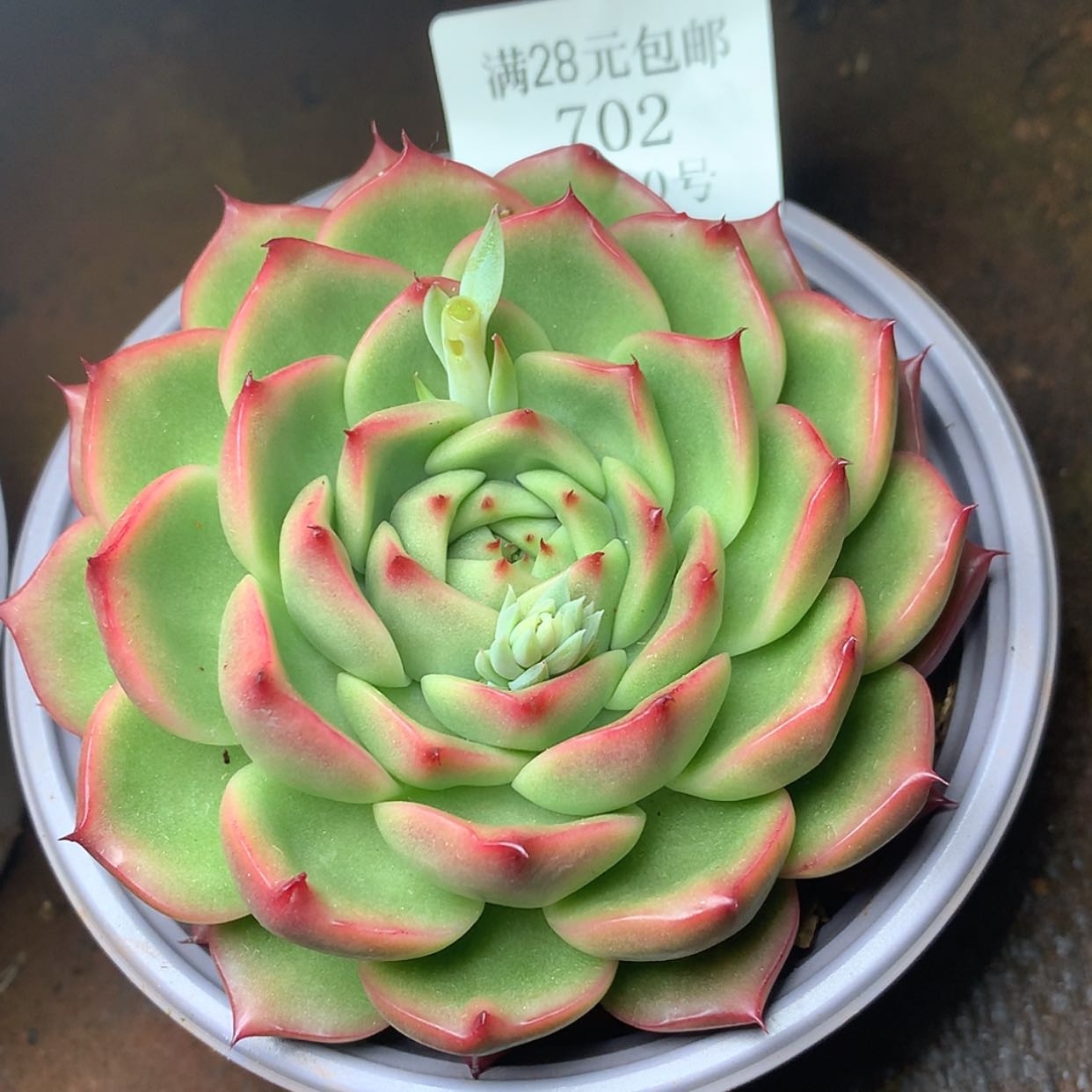 【闪购商品】云702号