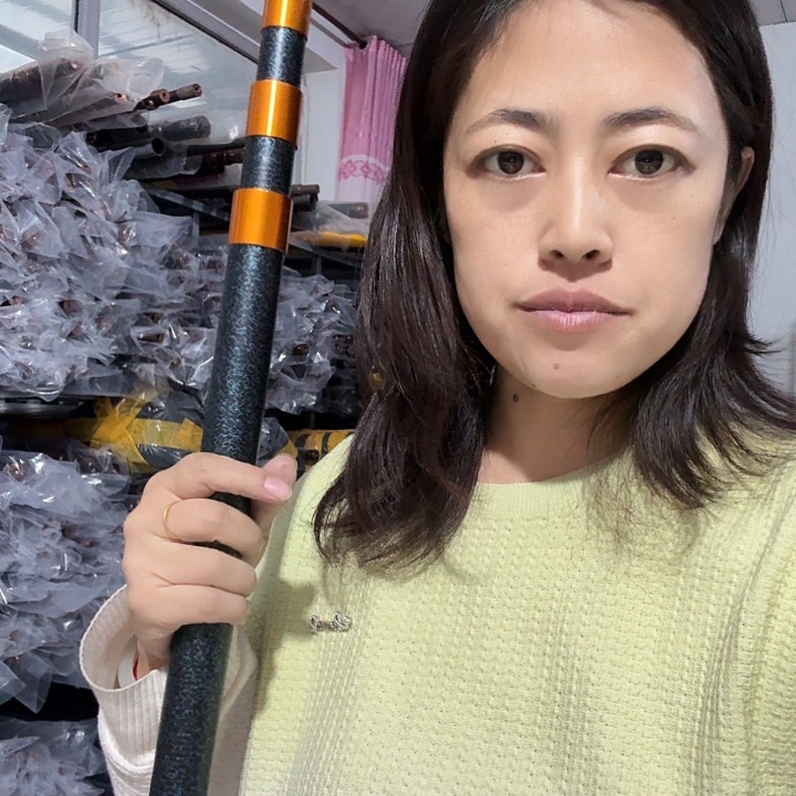 视***点内定位伸缩杆一根4米