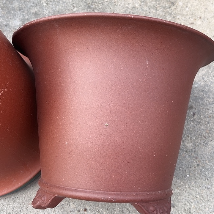 紫砂其他888888888888888888