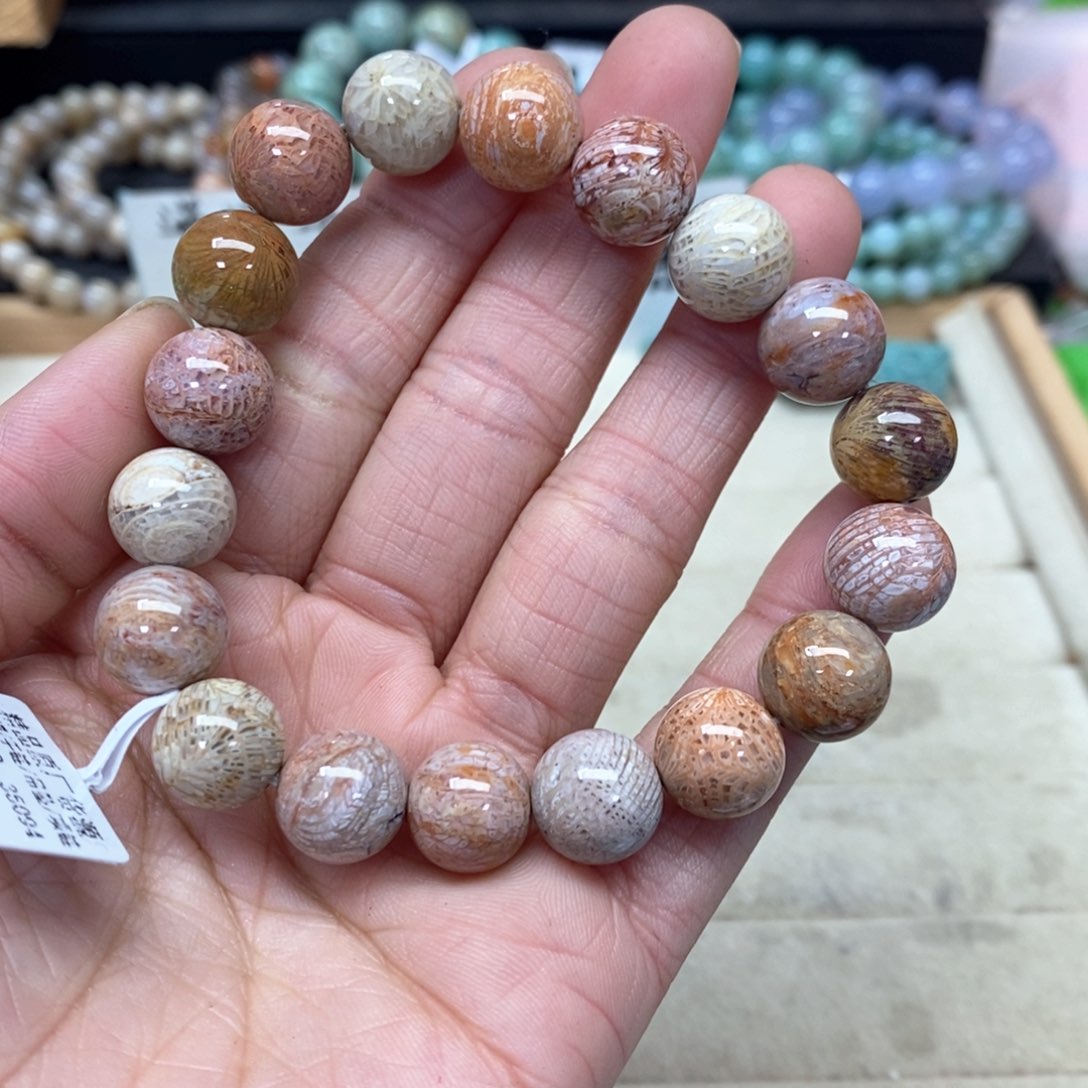 硅化珊瑚（珊瑚玉）手链未镶嵌闪****?013