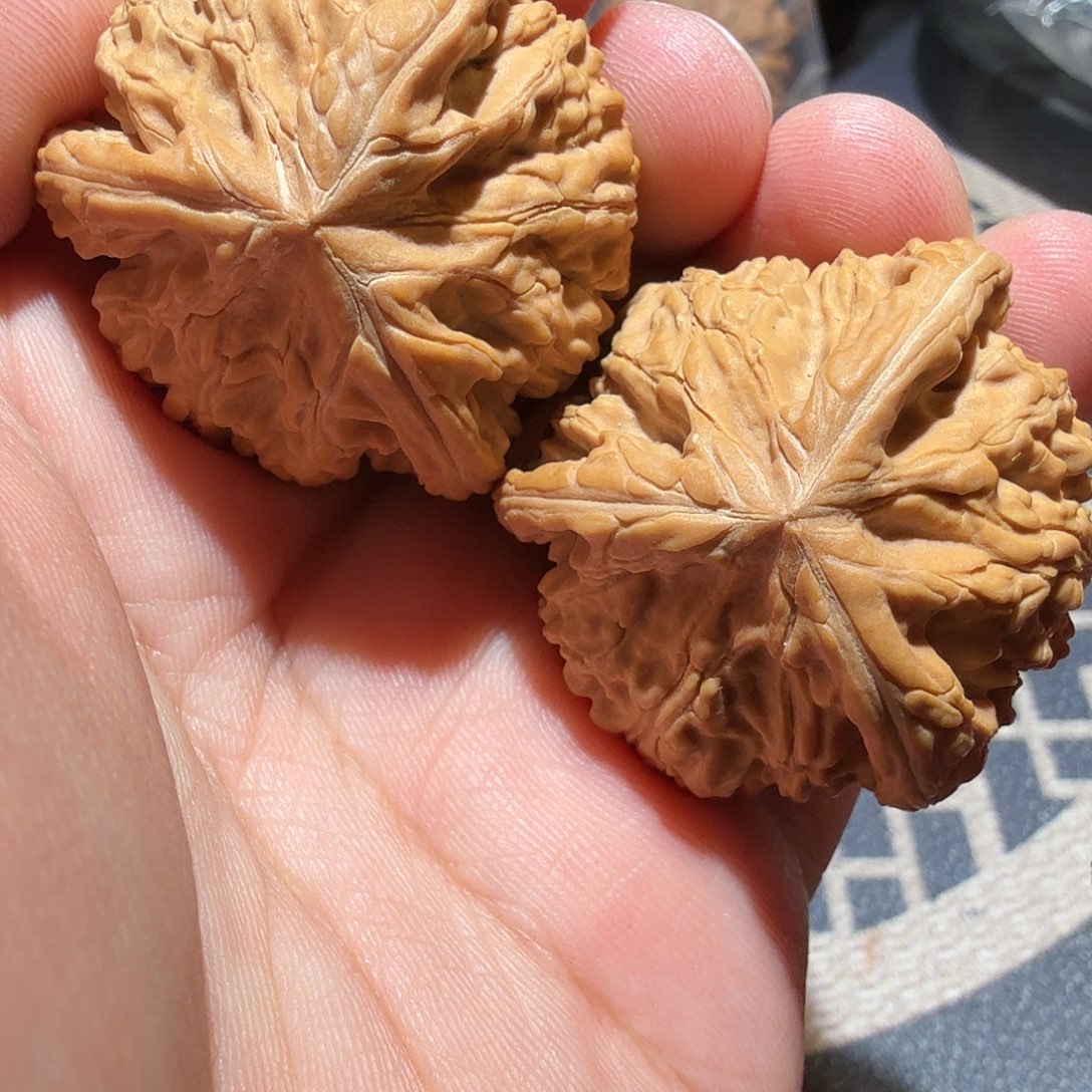 文玩核桃把件御龙