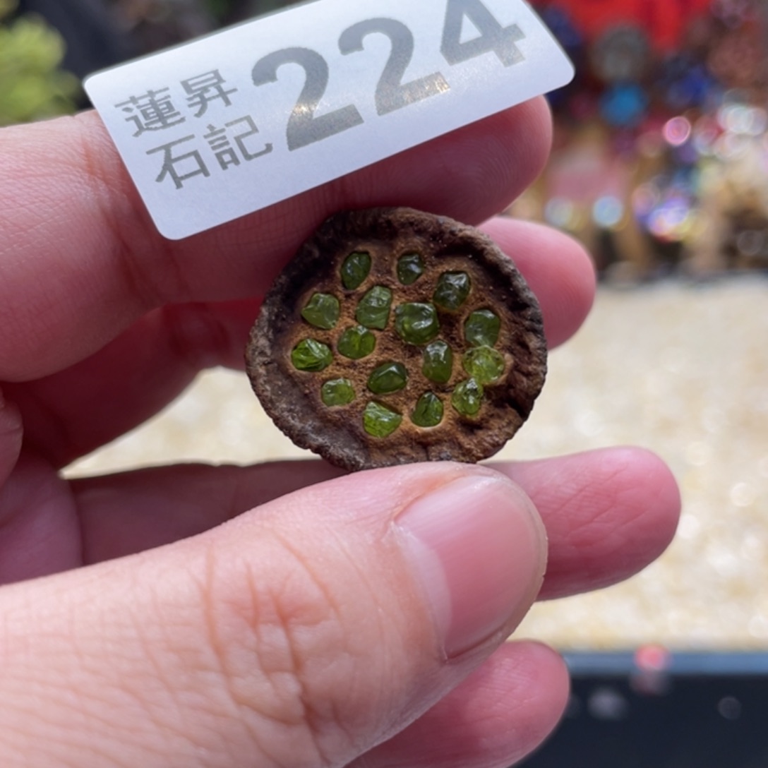 核桃木/黑胡桃（胡桃木）蔚****兴224