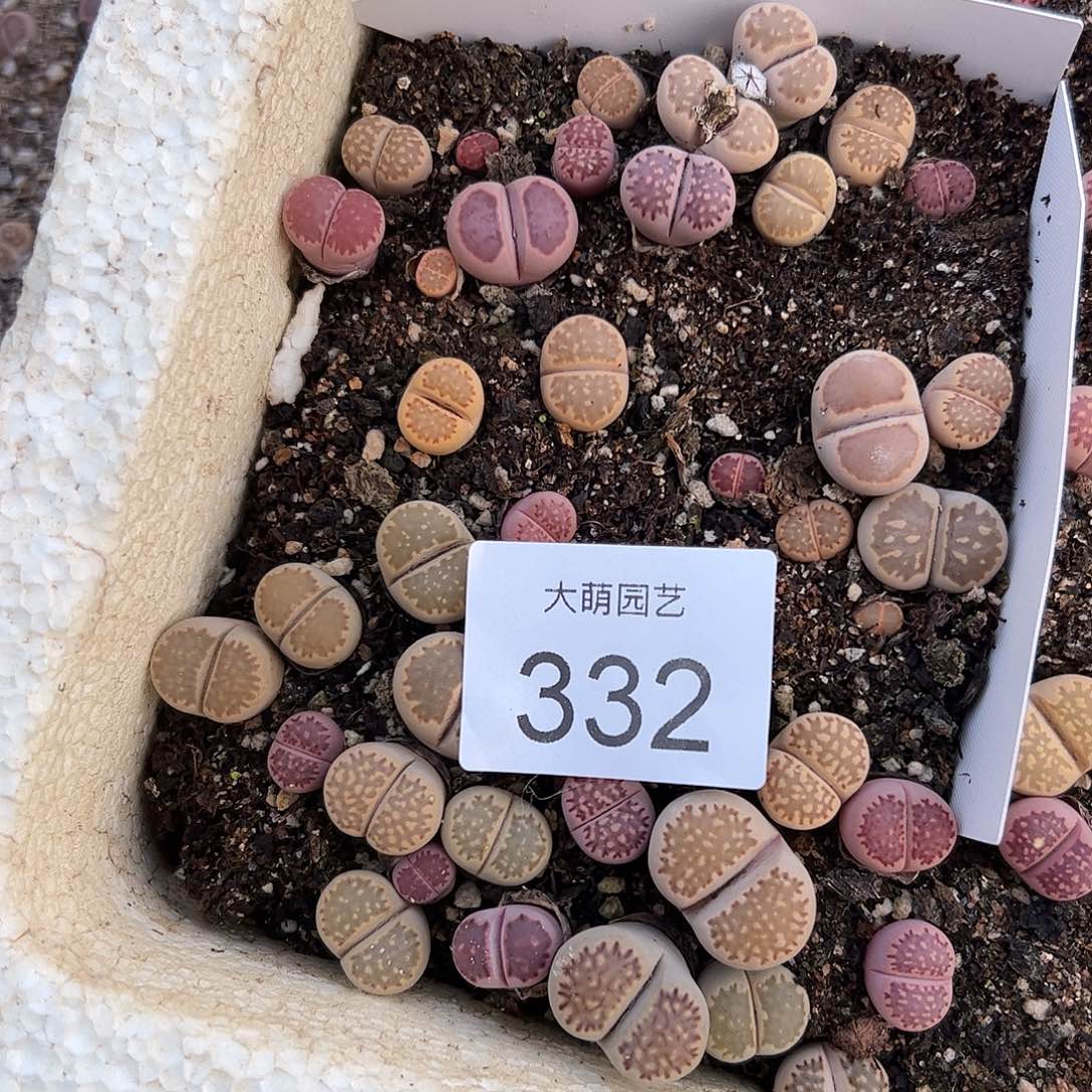 清框脱土发。    332