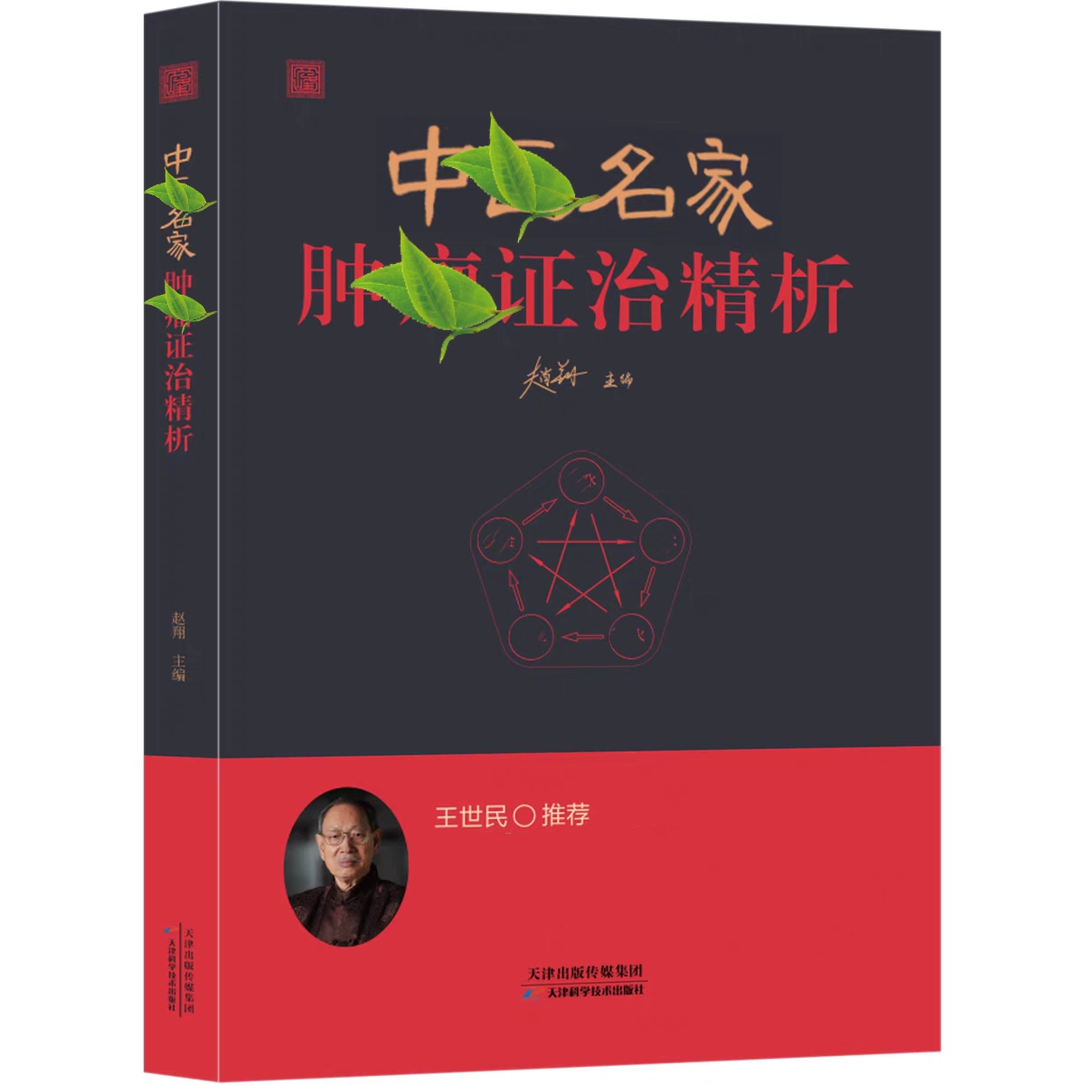 【正版】中翳大家肿和留证冶精析中翳理论书籍自学入门