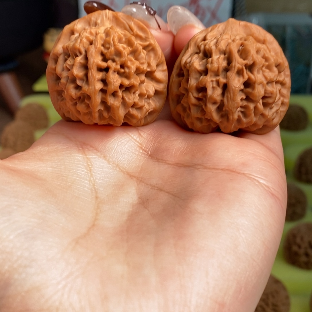 核桃秦岭闷尖狮子头35