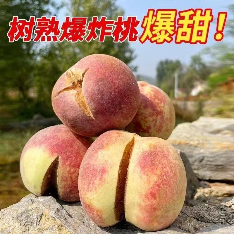 【炸裂冬桃】山东正宗红桃爆炸桃丑桃裂口桃秋冬桃脆甜桃毛桃硬桃