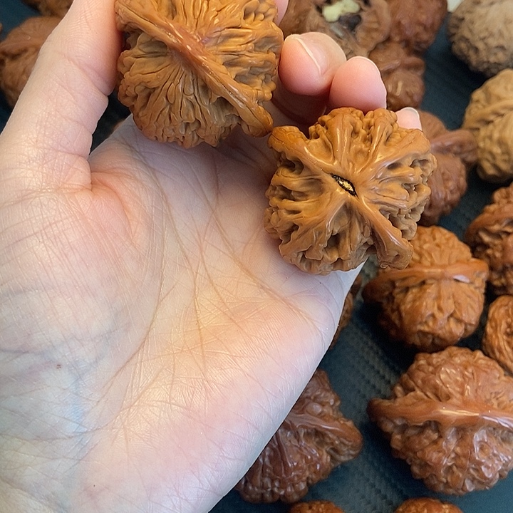 木质类44狮虎兽。         