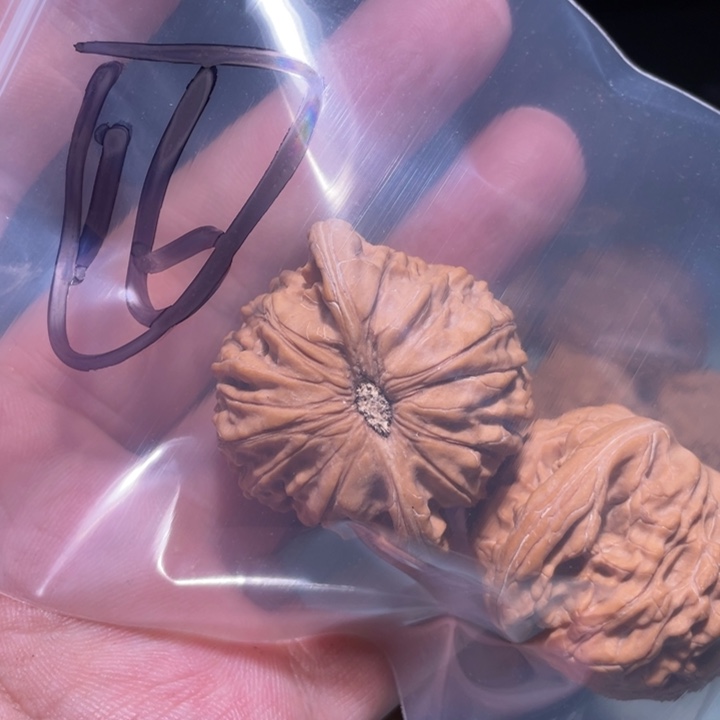 文玩核桃吊坠16呃呃呃