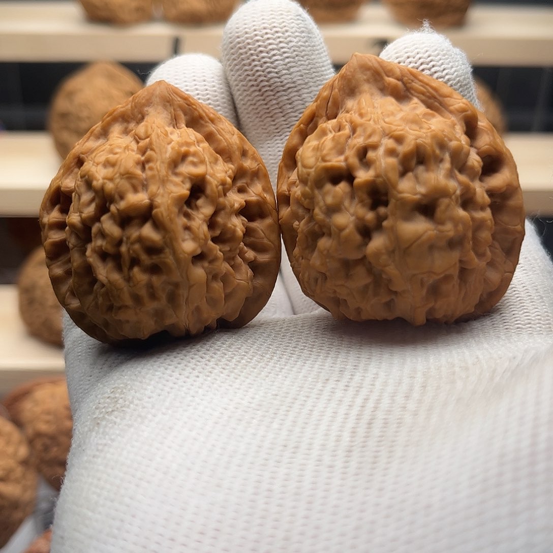 桃核吊坠39粗筋蚂蚁王