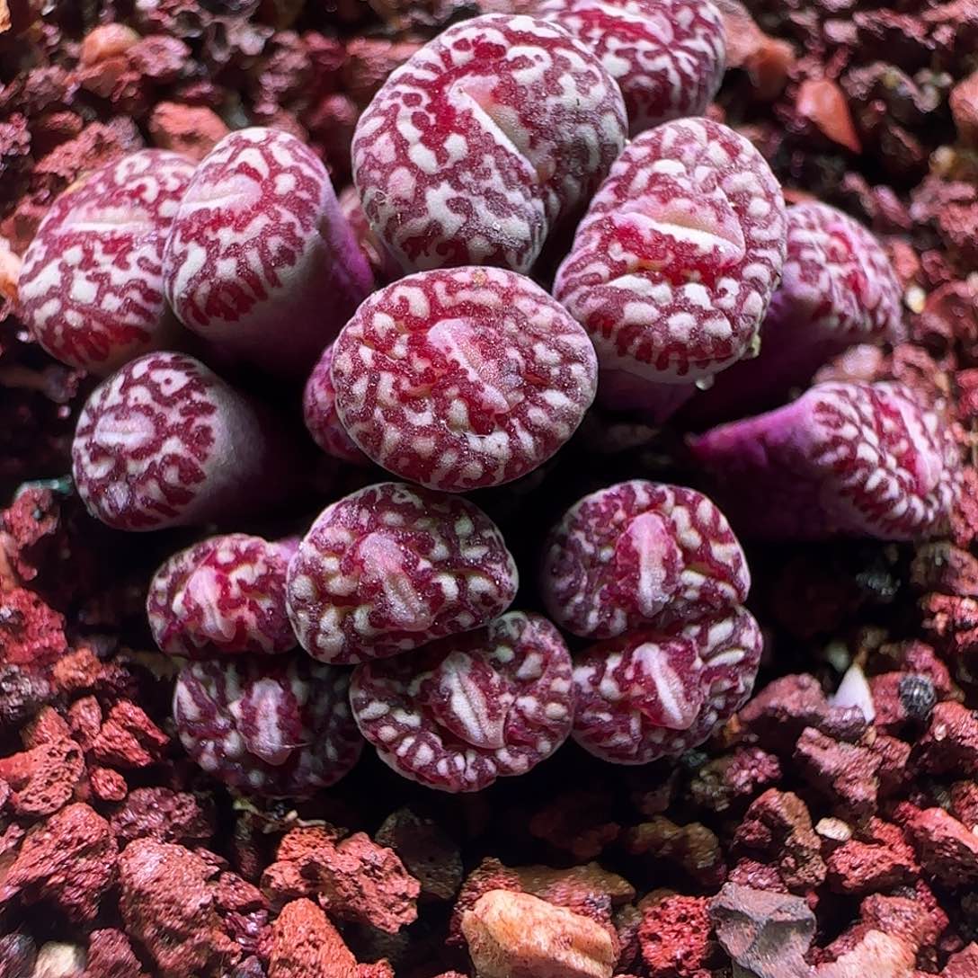 晨***浅哈哈哈斤斤计较919