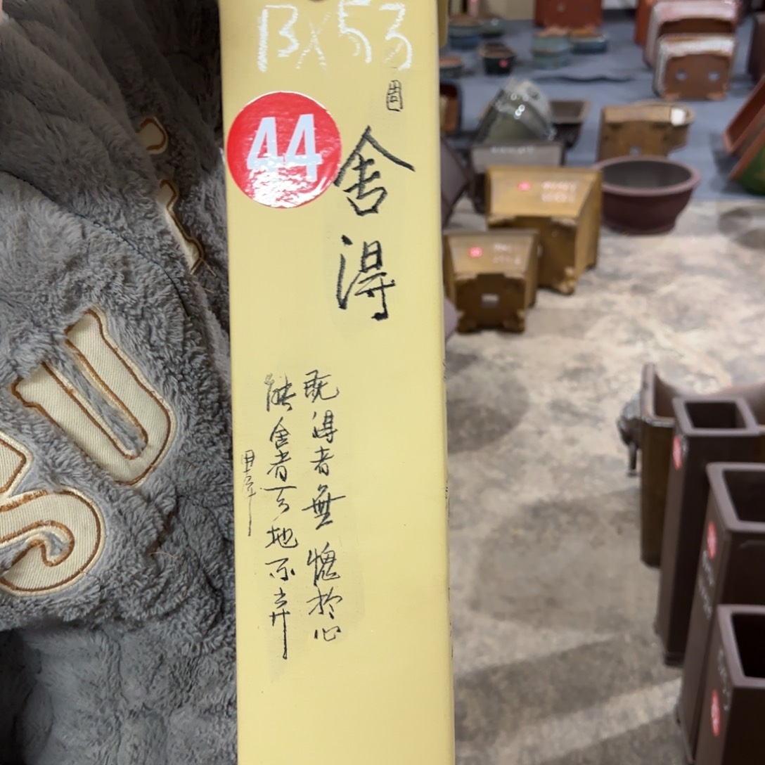 紫砂花盆呜呜呜呜