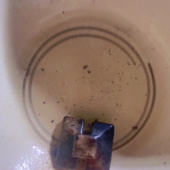 瓷片新号开播，炸炸炸