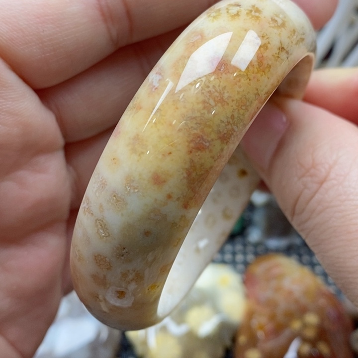 硅化珊瑚（珊瑚玉）颈饰未镶嵌54