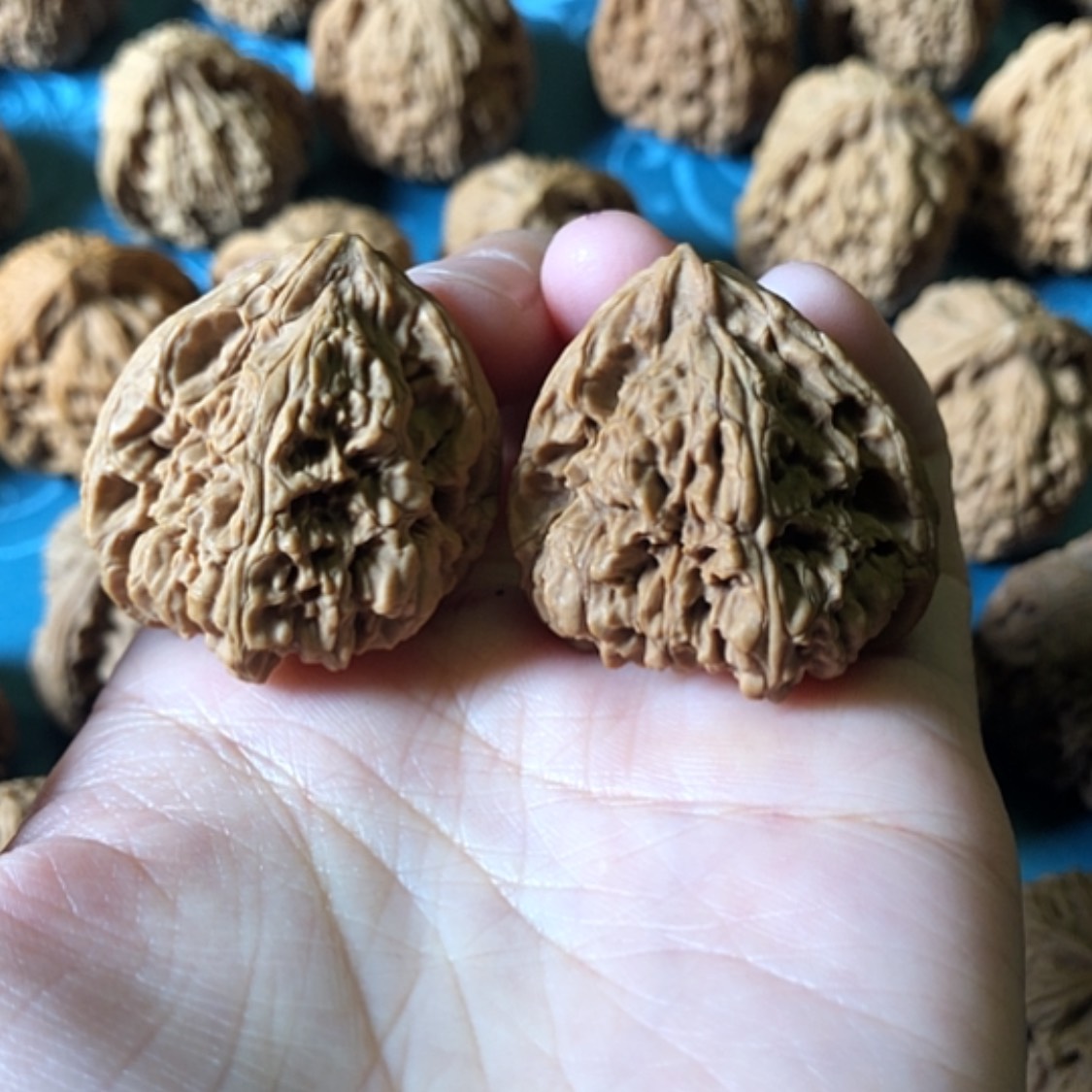 【闪购商品】文玩核桃把件异形