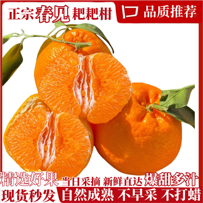 四川春见耙耙柑新鲜应季水果多汁爽口香甜好吃现摘现发