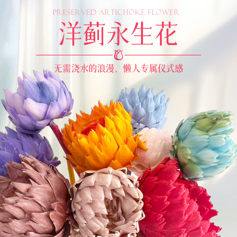  永生花洋蓟干花束永生多头洋蓟漂色保鲜花diy高级感手工花材料