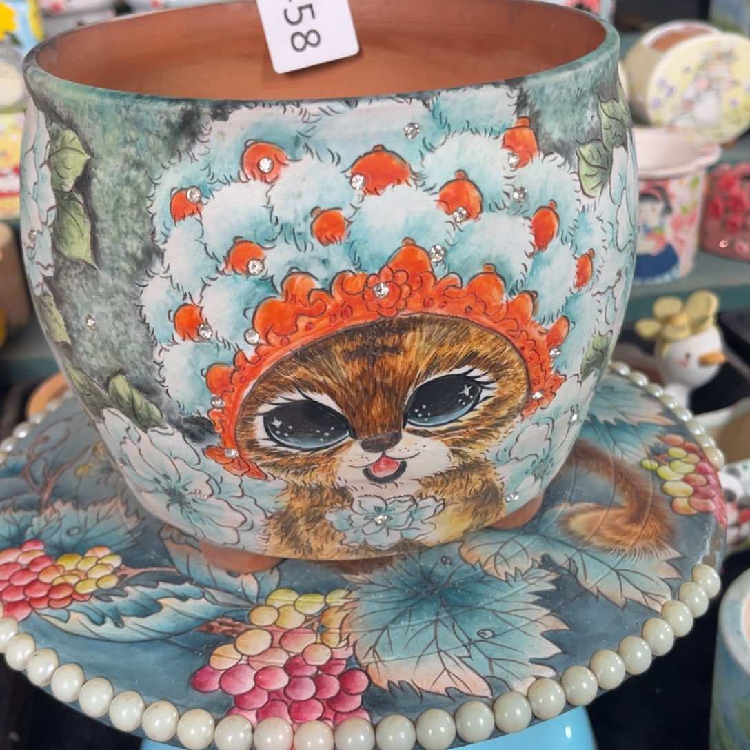 炸***多458多肉花盆158元1个