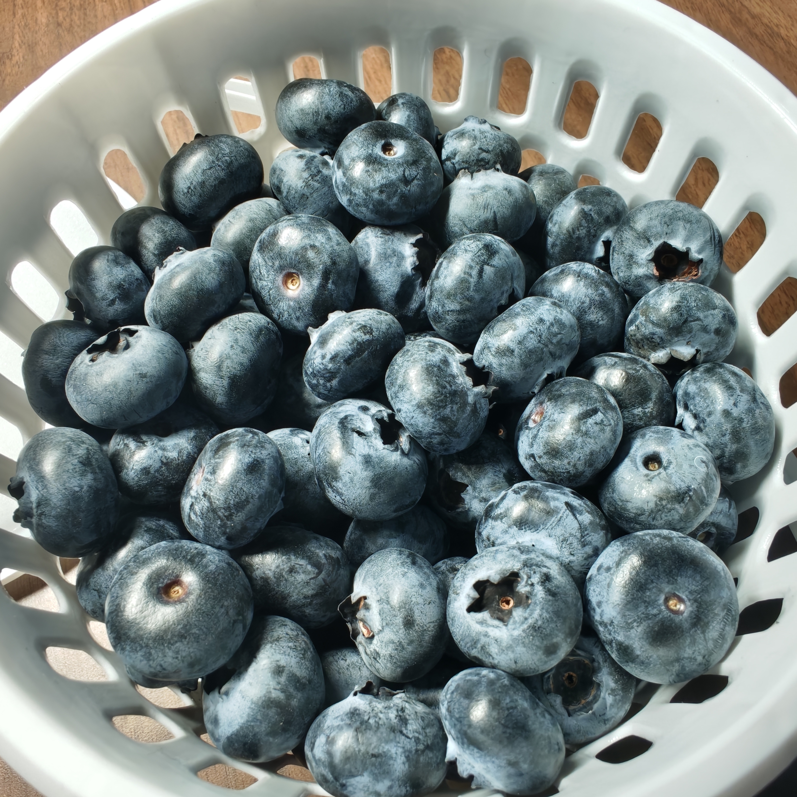 云南蓝莓 有花香味的蓝莓 酸甜可口 手提篮装