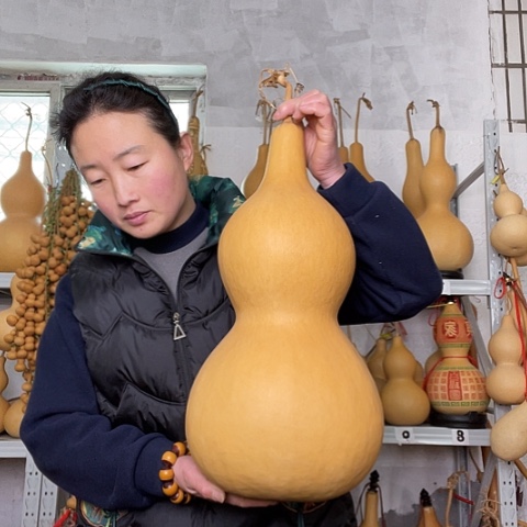 康*天然植物葫芦文玩