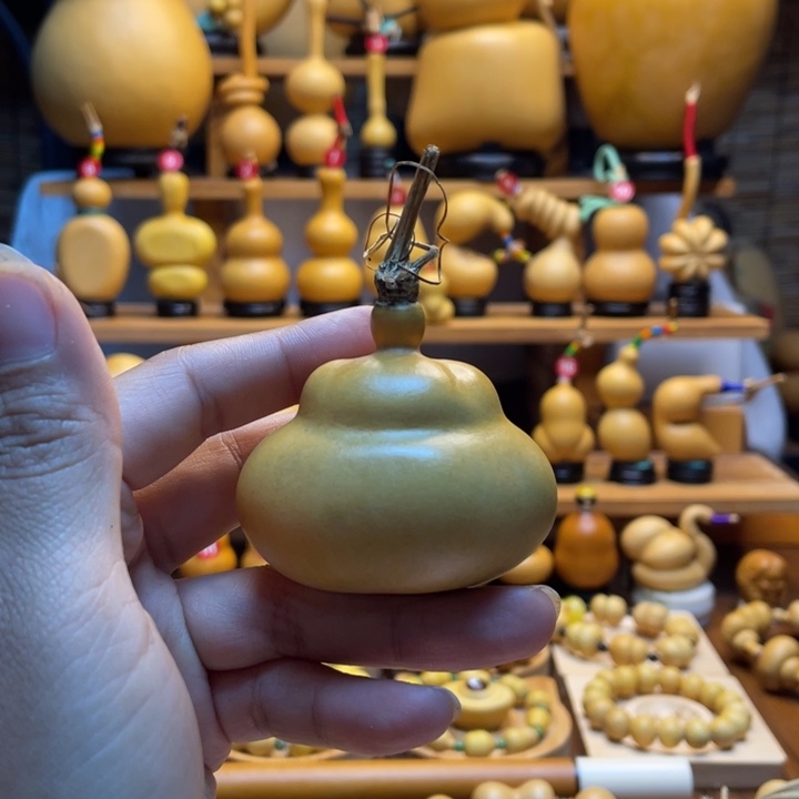 虾***眼天然葫芦自然生长