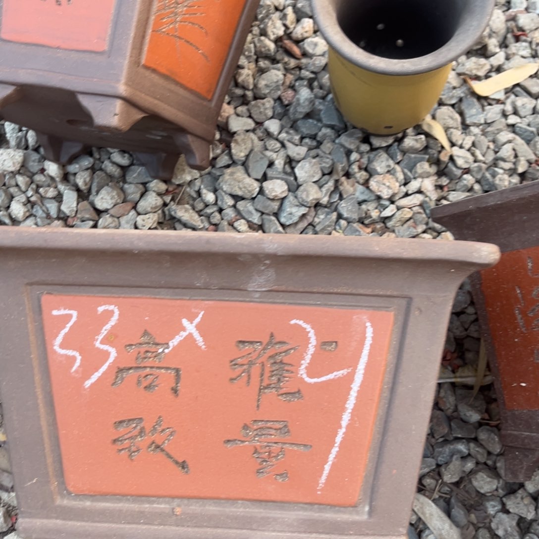 紫砂花盆紫砂花盆49