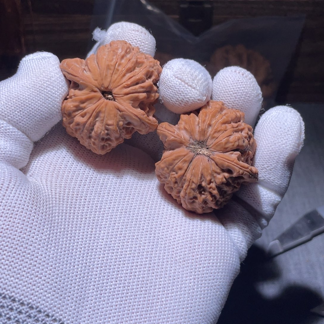 吊坠文玩核桃39 全品血麒麟 14