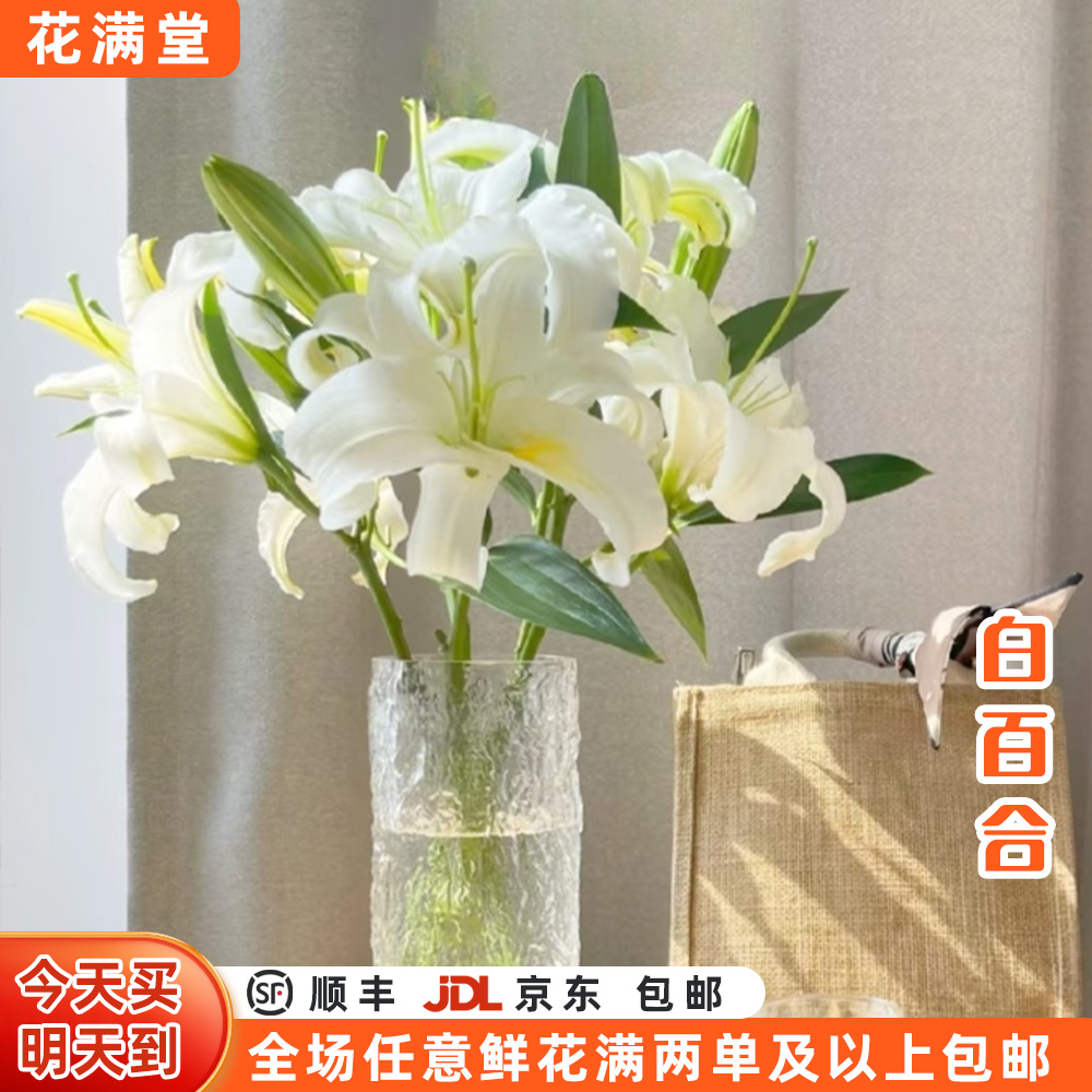 特价【次日达·白百合】白百合3枝2头鲜切花·生活鲜花·全场两单鲜花顺丰包邮·基地直发·批发·白百合次日达