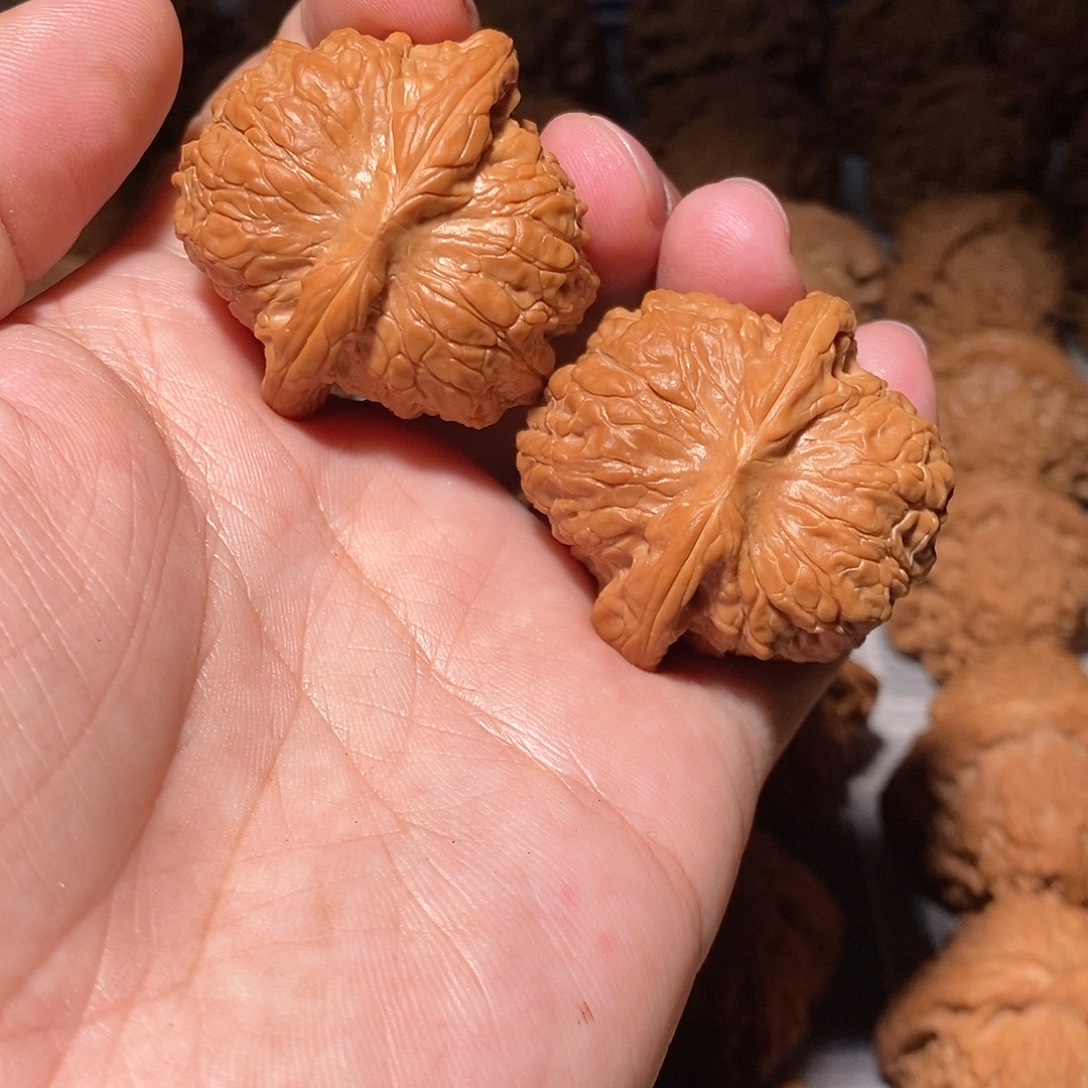 文玩核桃把件001血麒麟41尺全品头货对