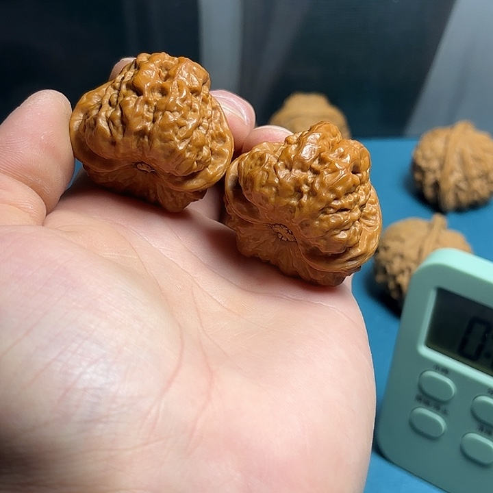 核桃木/黑胡桃（胡桃木）41蛤蟆头