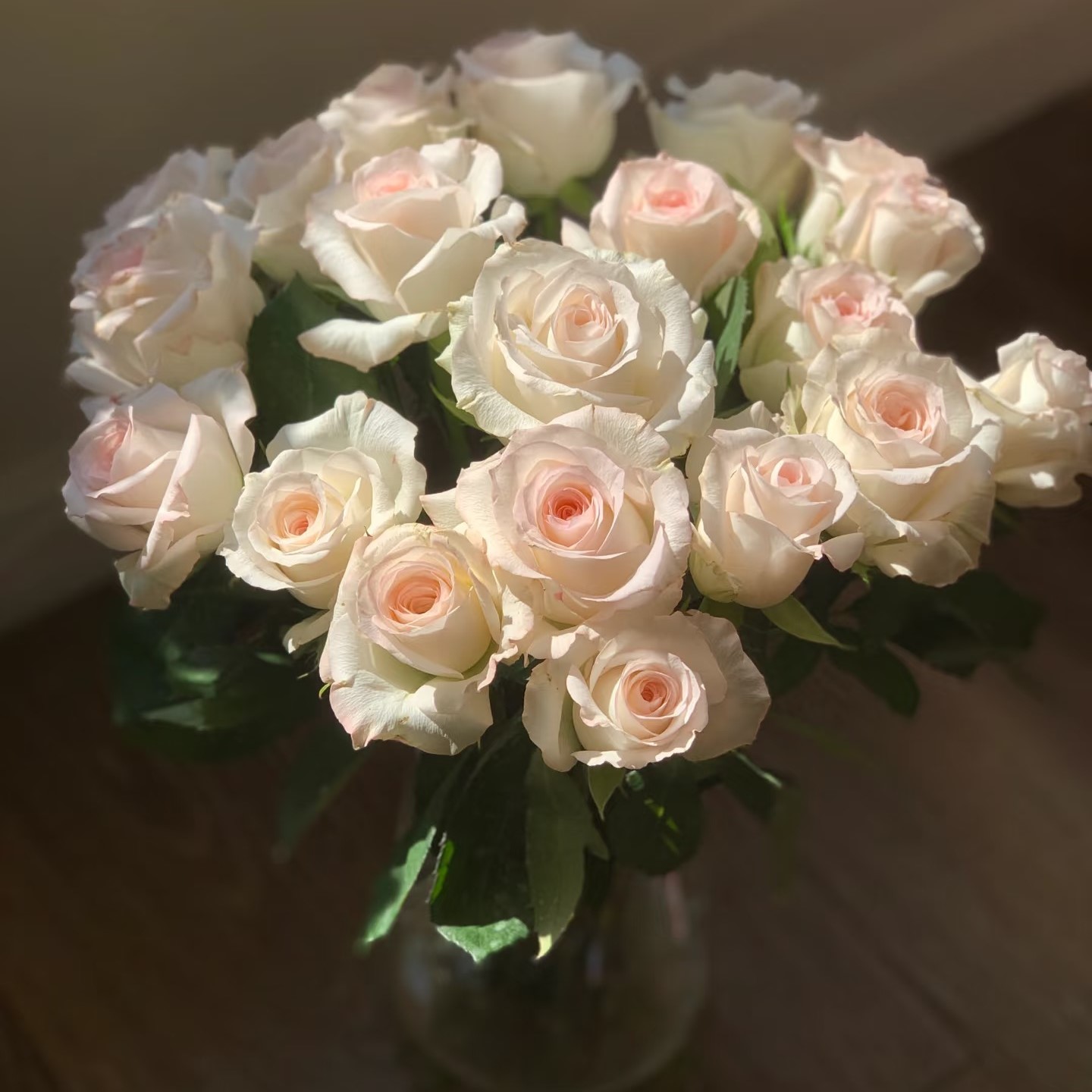 小白兔玫瑰--【到货需要醒花，不会的联系客服】