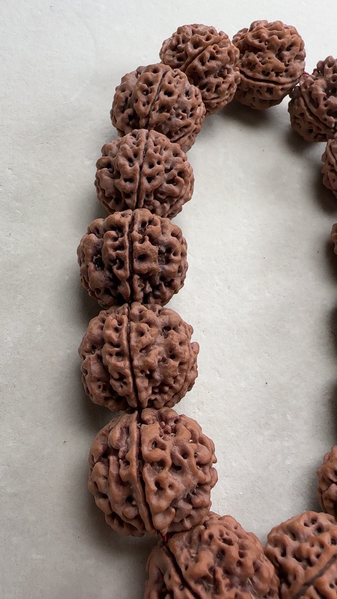 21.5-21.9尺寸针孔蜂窝双龙头货 金刚菩提中高桩