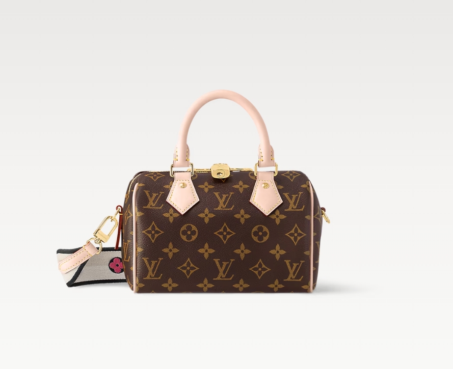 未使用 LouisVuitton/路易威登 芯片款20枕头包（Speedy）