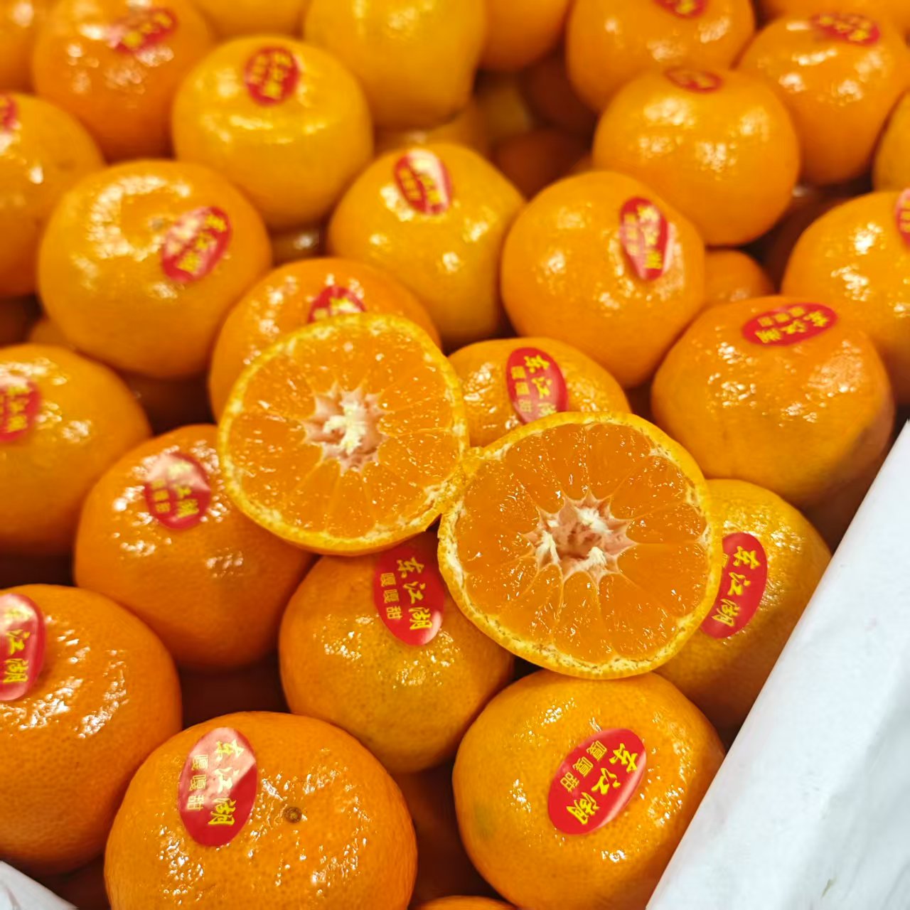 【散装】东江湖蜜桔 5斤 仅大同市平城区云冈区可拍