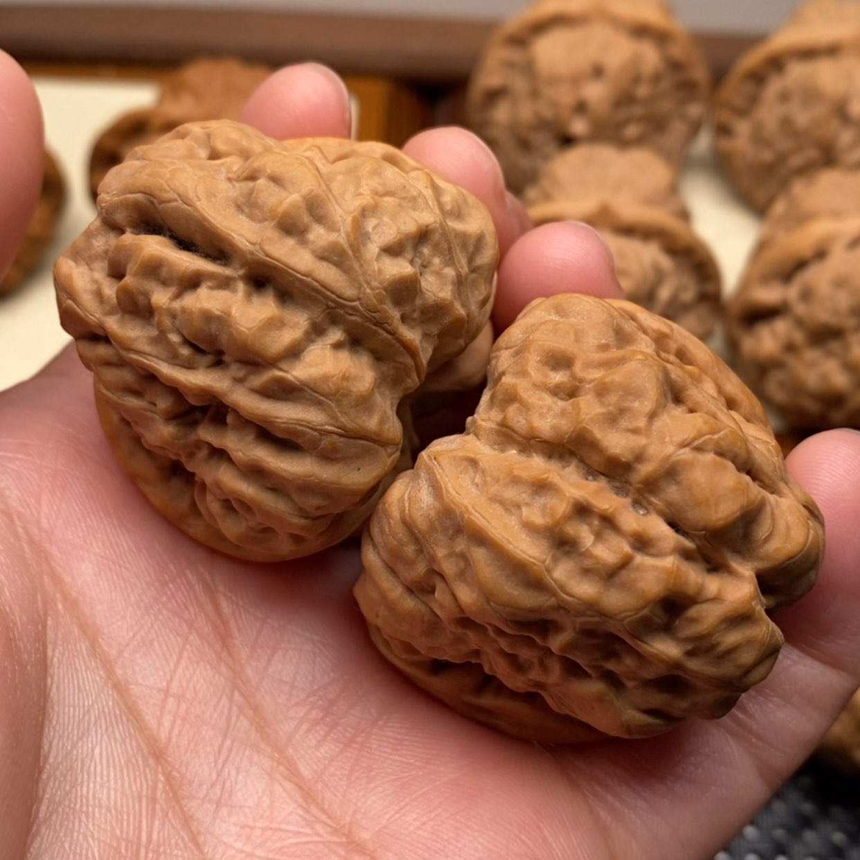 【闪购商品】把件文玩核桃肌肉开背蛙边41左右