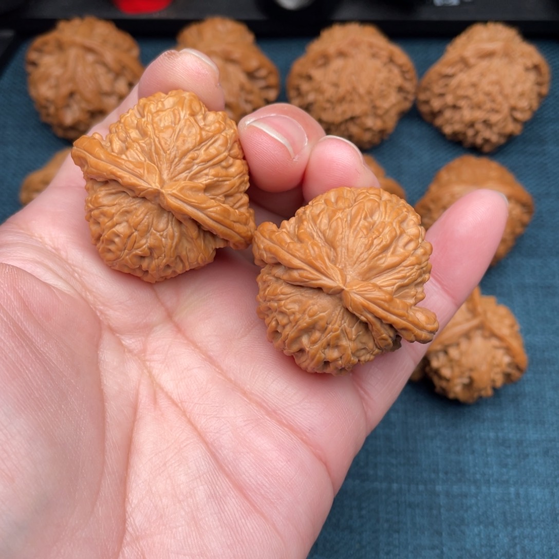 文玩核桃把件全品红皮白狮子40