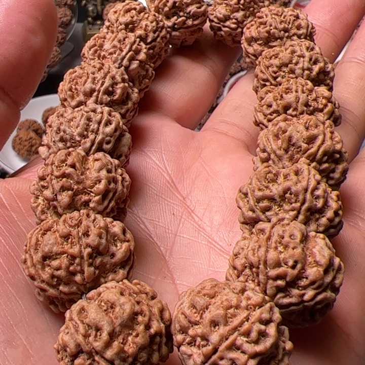 手串金刚菩提21梁粗筋梅花